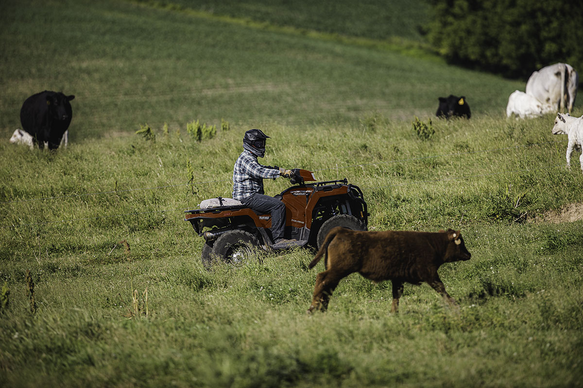 SPORTSMAN 450 H.O. EPS - Image 9