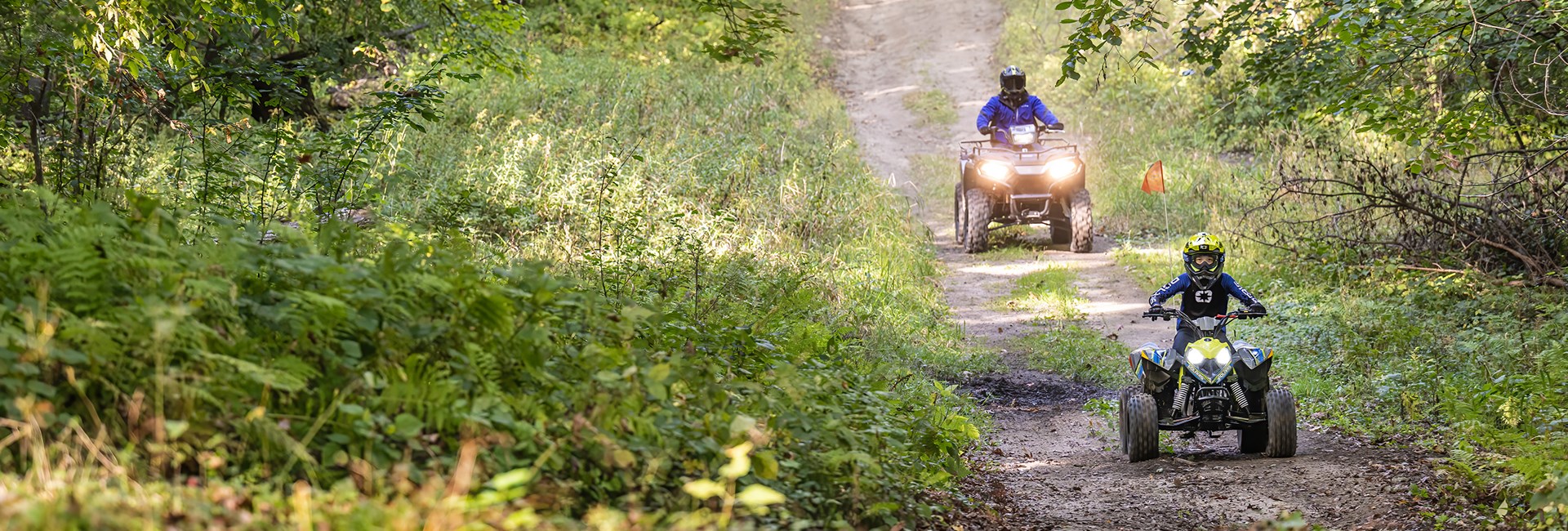 Outlaw 110 EFI - Image 6